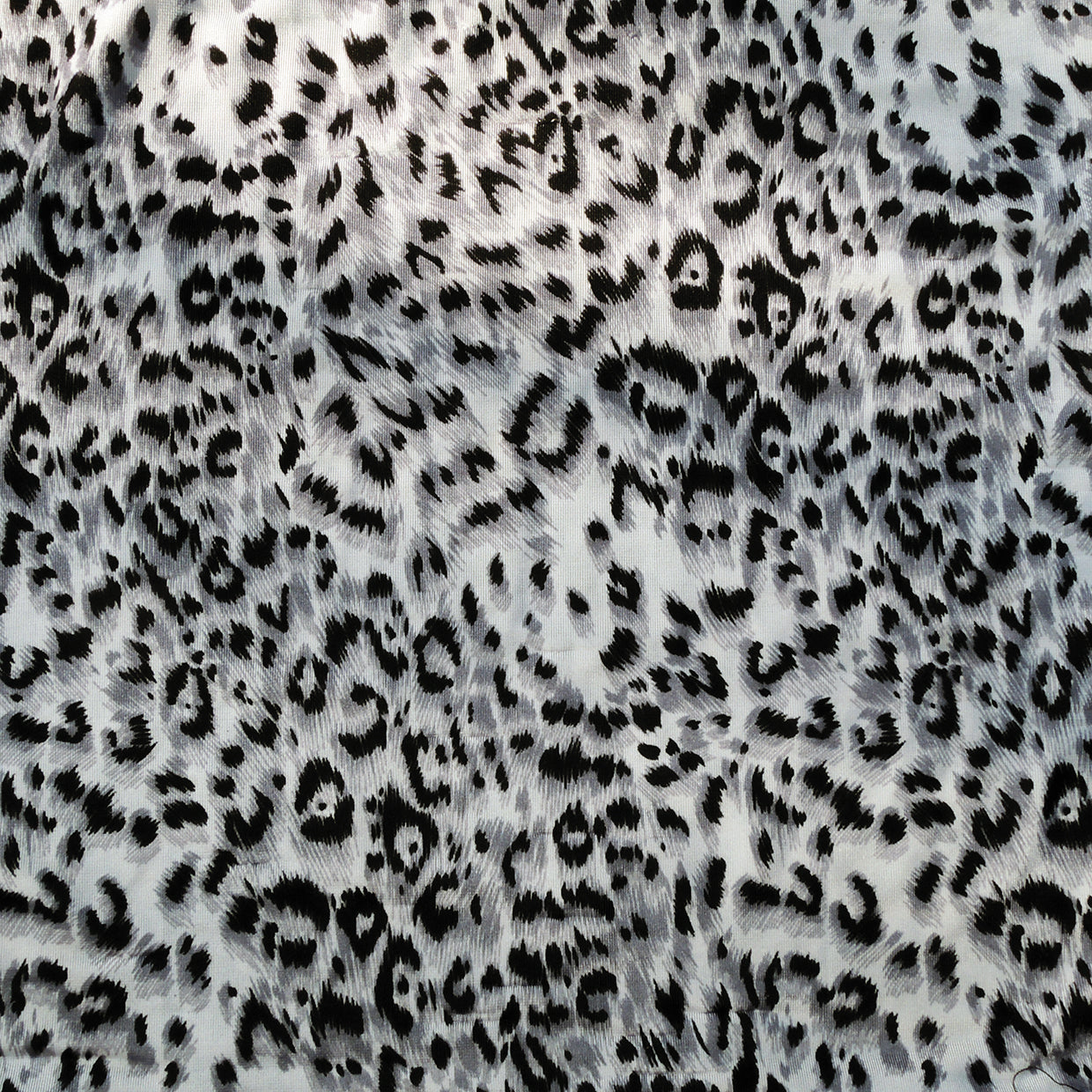 Luxury Leopard Spots