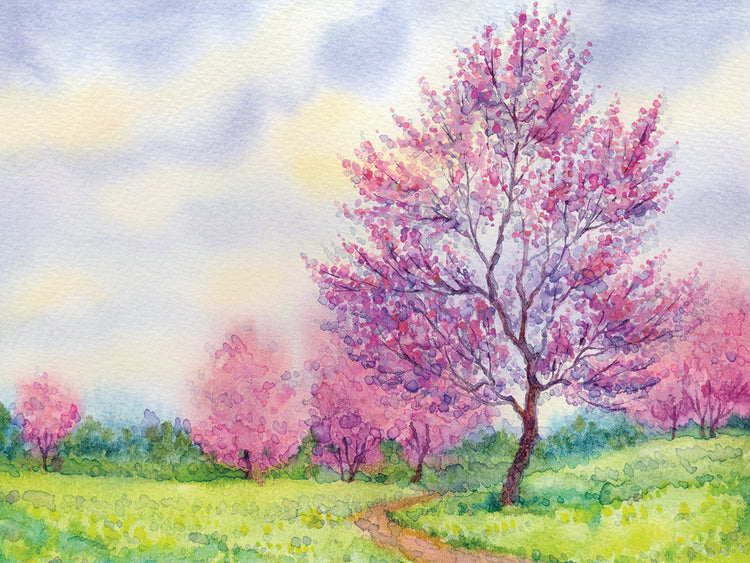 Camino de pétalos de rosa de primavera Lienzo