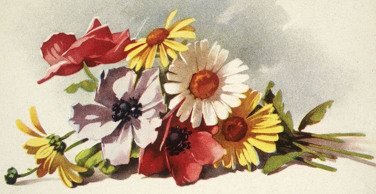 Arte de lienzo de colores de flores recién escogidas