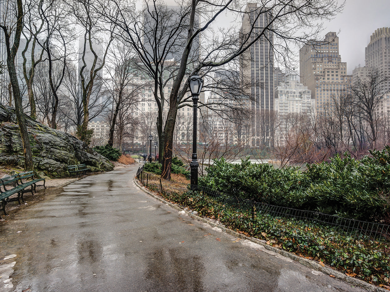 Después de la lluvia Cuadro de Central Park