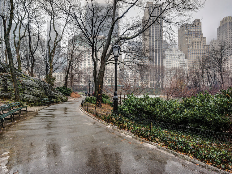 Después de la lluvia Cuadro de Central Park