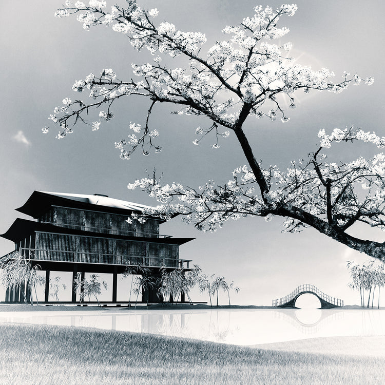 Lienzo de flores de primavera en blanco y negro