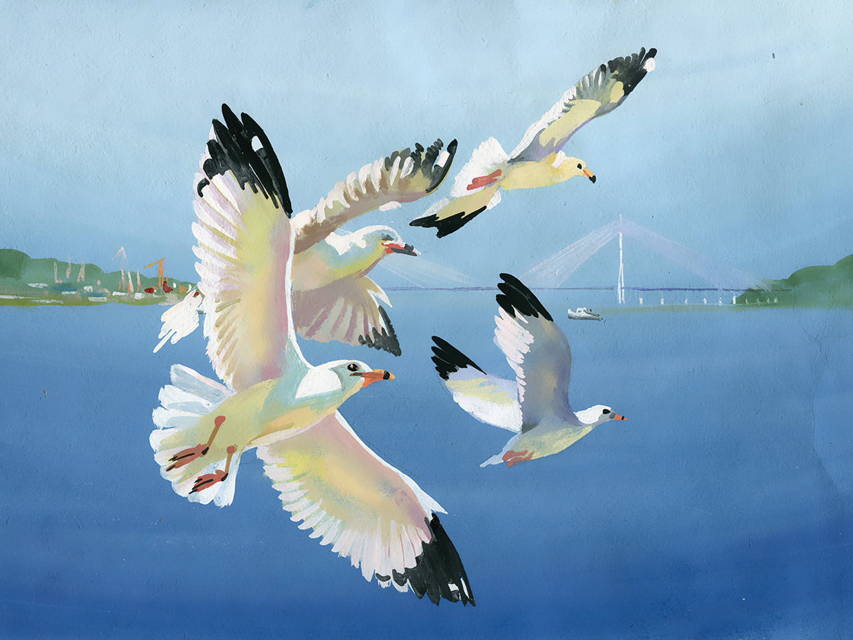 Arte de la lona de las gaviotas del puerto soleado