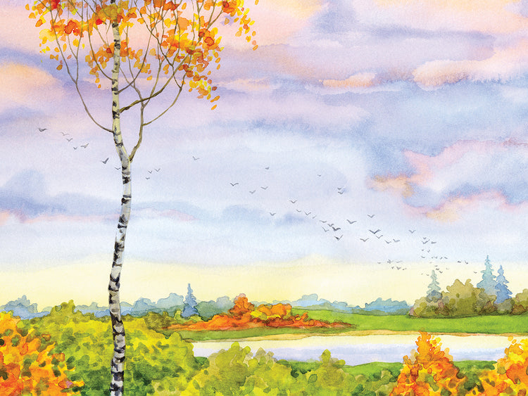 Bright White Birch Autumn