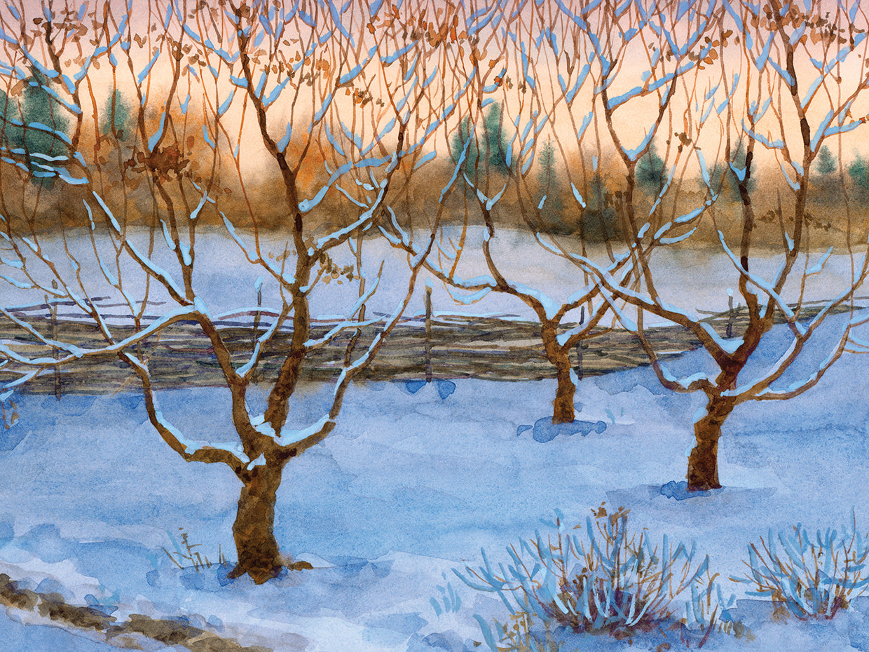 Arte de la lona de la primera nieve de Orchard