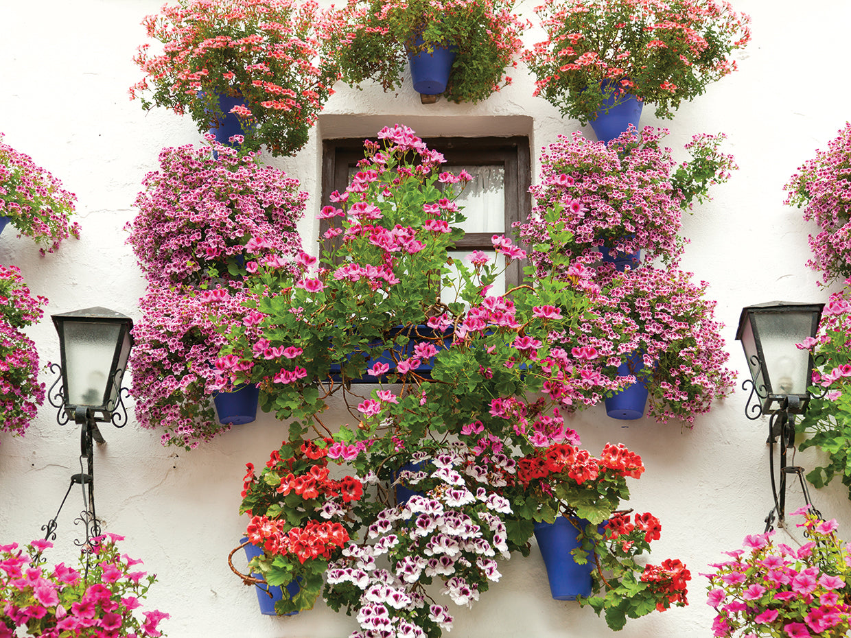 Cuadro Mural de Flores Español