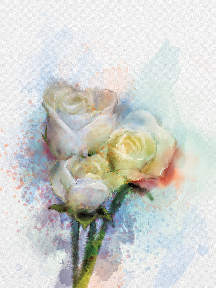 Cuadro en lienzo Splash of Color Rose Trio