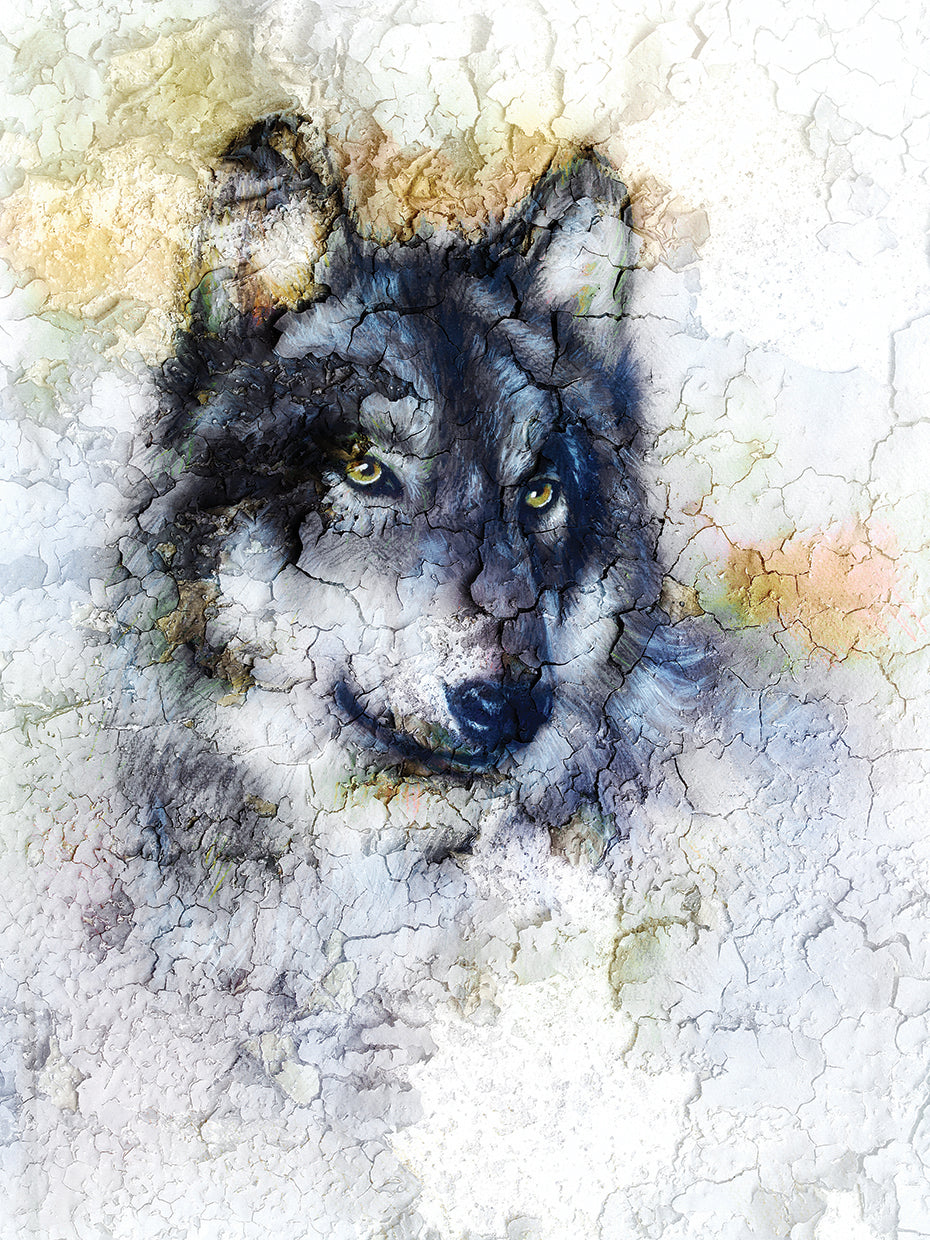 Snowy Crackle Wolf