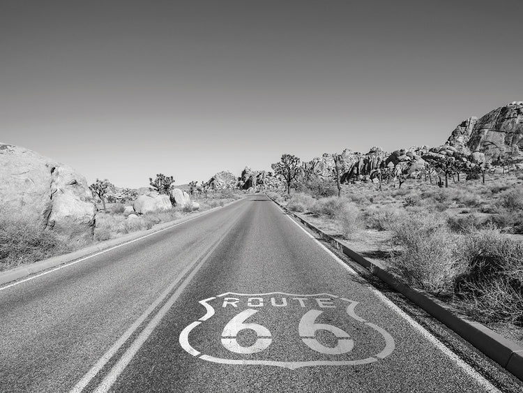 La ruta 66 entra en el arte de la lona de Joshua Tree