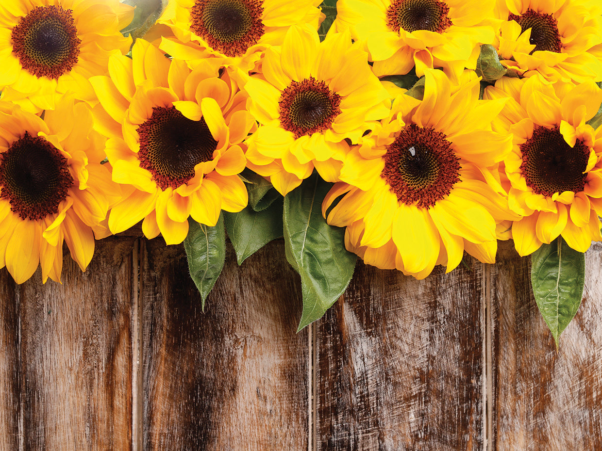 Rustic Farmhouse Sunflowers