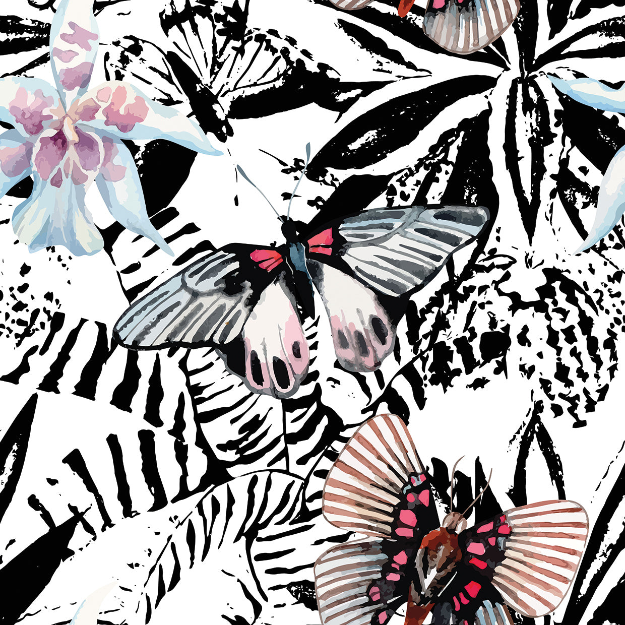 Tropical Garden Butterflies