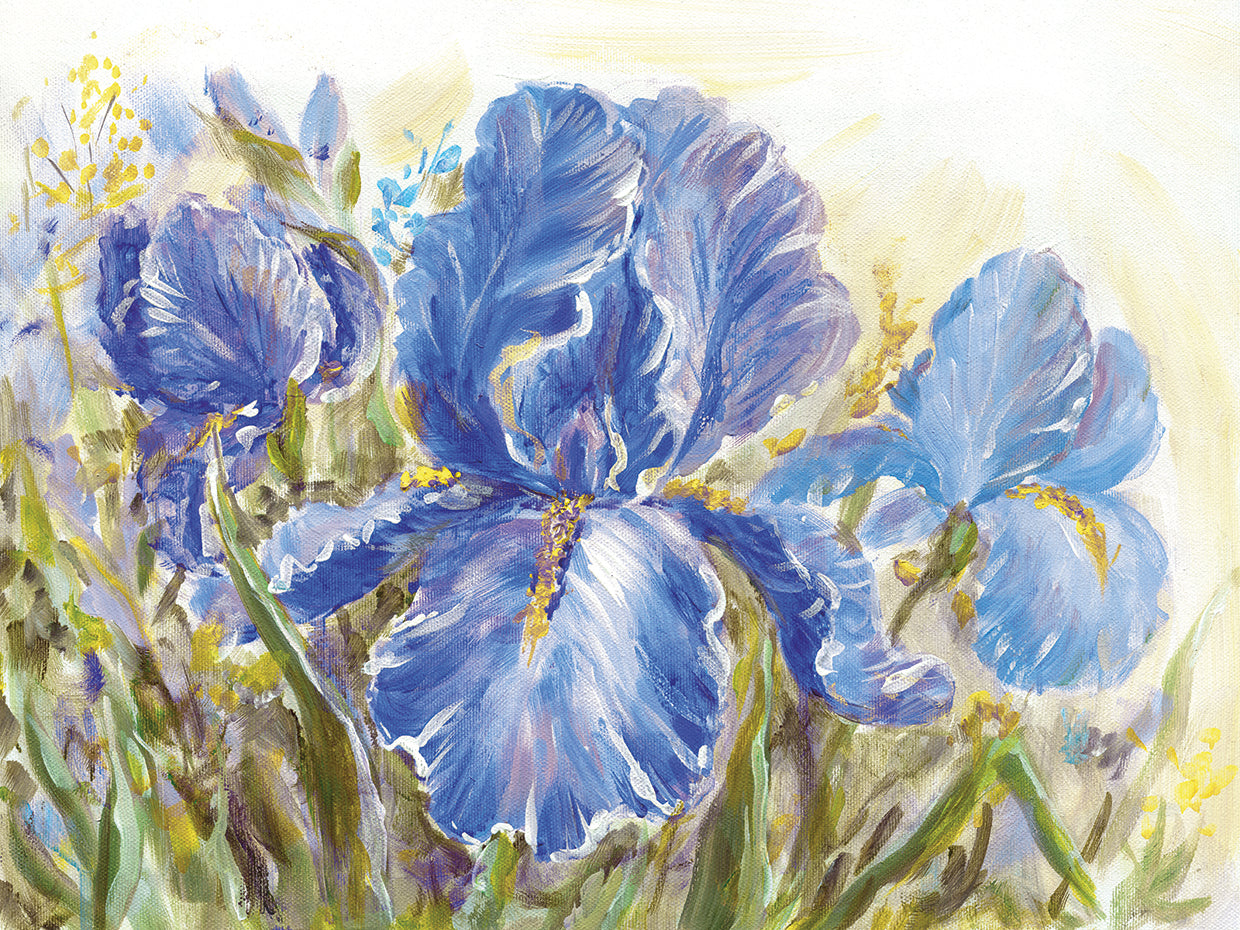 De repente Blue Iris Meadow Canvas Art