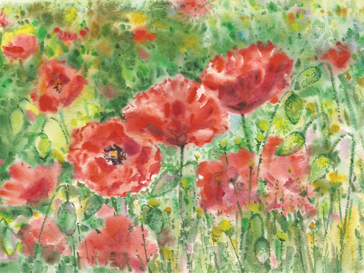 Arte en lienzo de amapolas de verano con chispas rojas