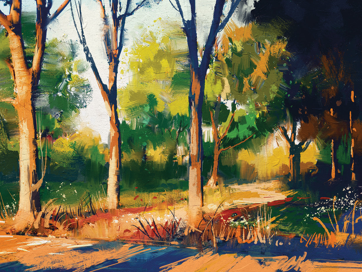 Sunset Slipping Through Forest