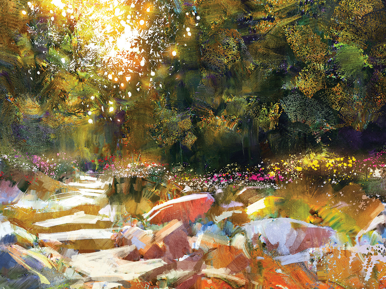 Rainbow Rocks Forest Path