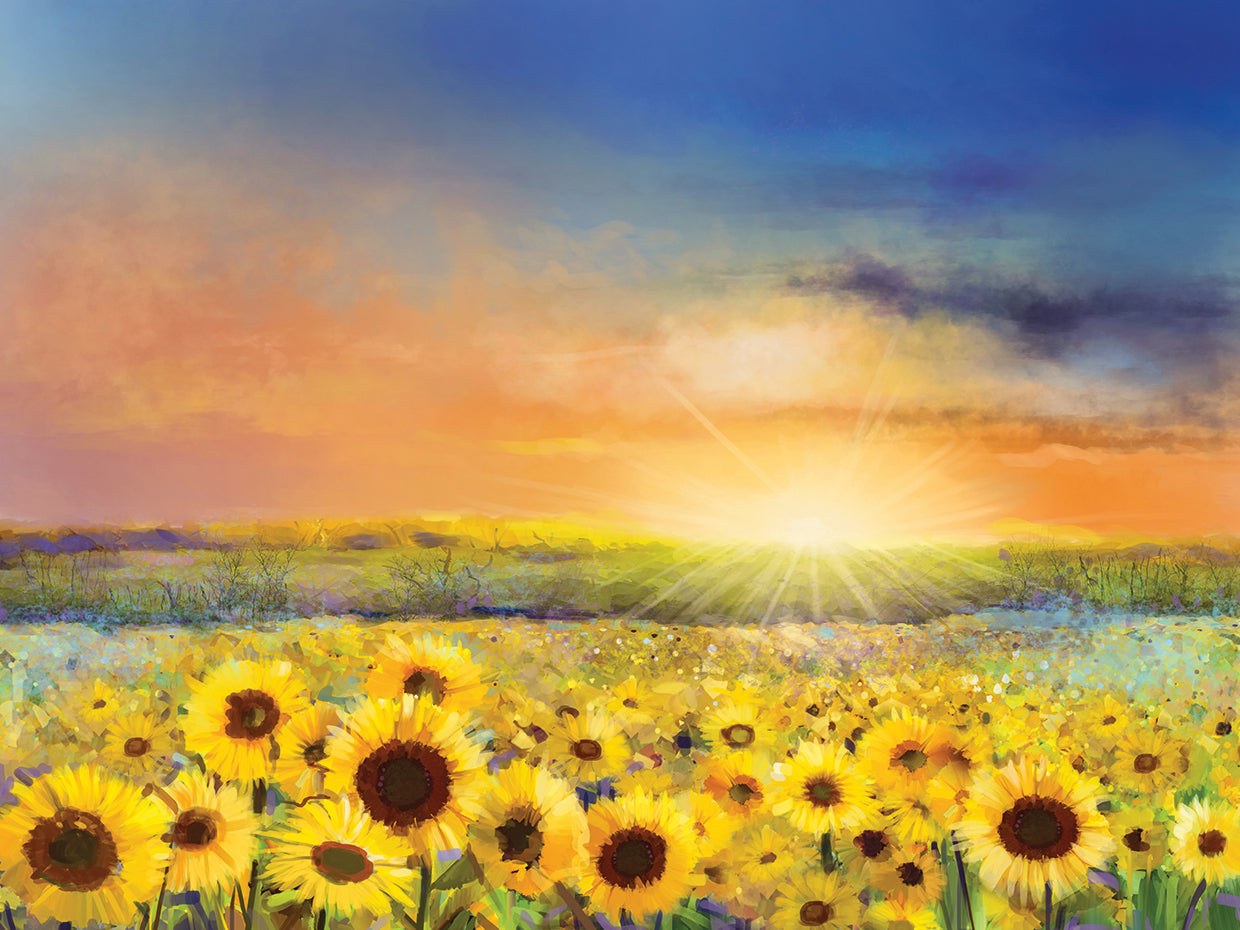 Besado por el sol Girasoles Lienzo