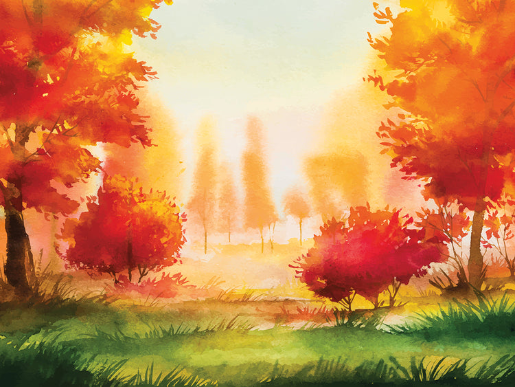 Red Amber Autumn Forest