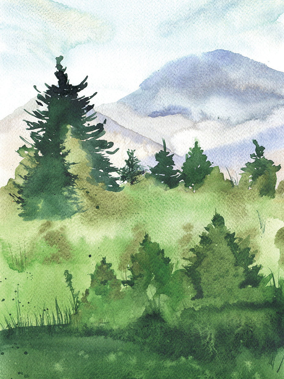 Fresh Evergreen Mountain Woods