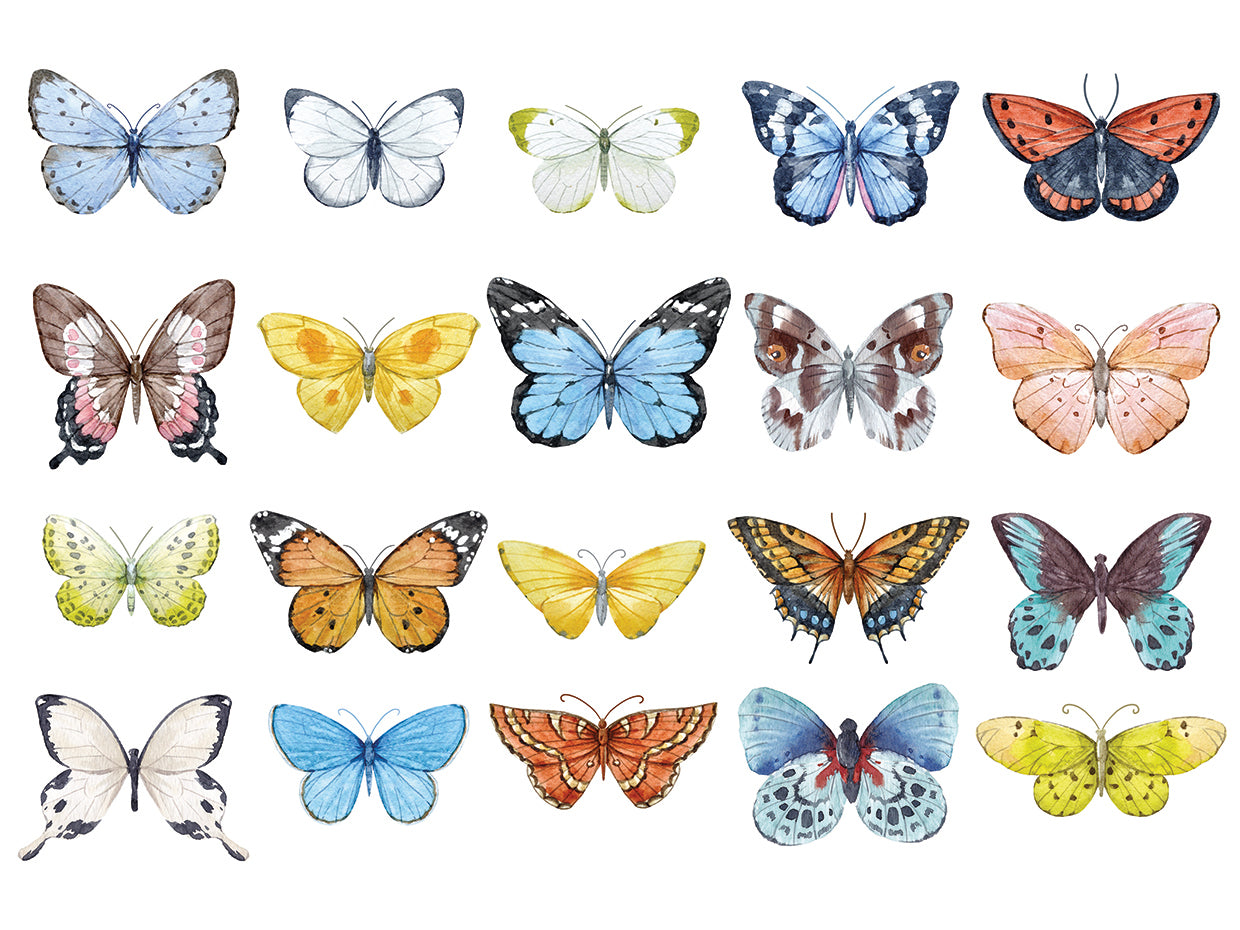 Butterflies Fill the Garden