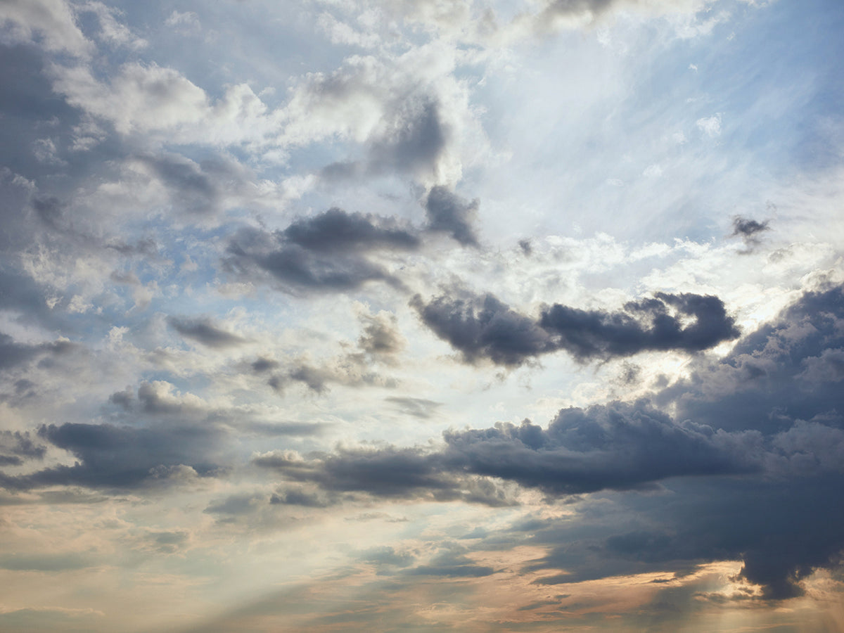 After the Storm Comes Hope