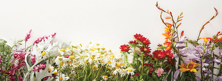 Arte de la lona de la bandera de las flores silvestres para siempre