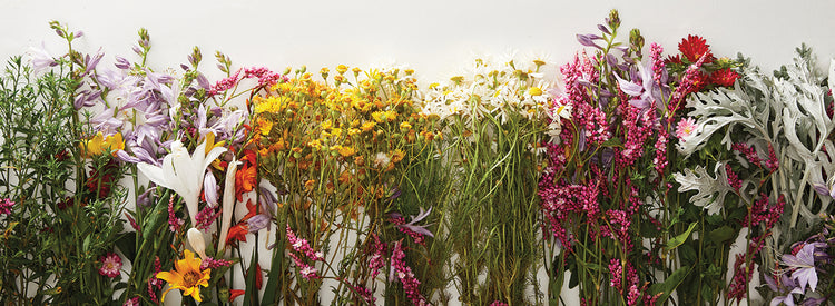 Arte de lienzo de flores silvestres secas coloridas
