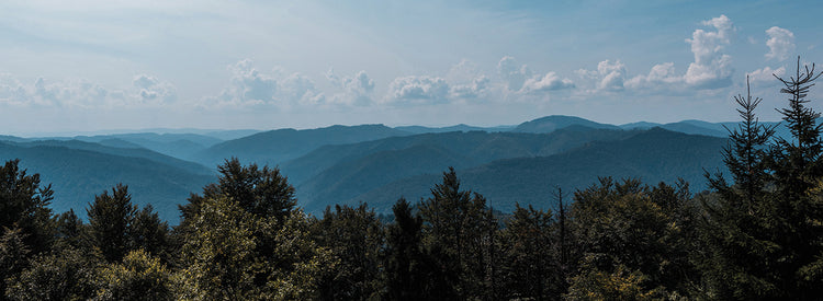 Cuadro en lienzo Evergreen Mountain Panorama