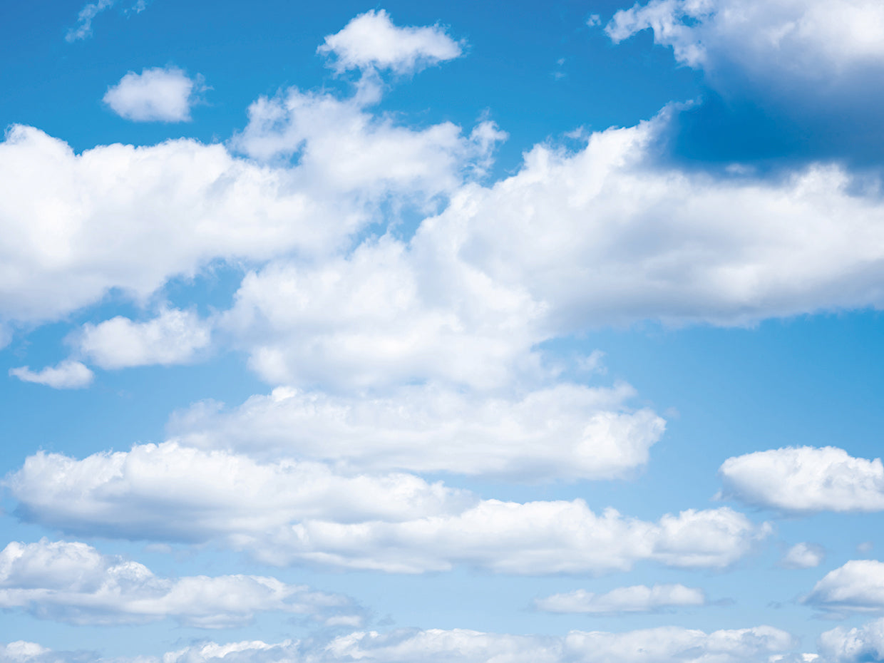 Parcialmente soleado Cielo azul Pronóstico Lienzo