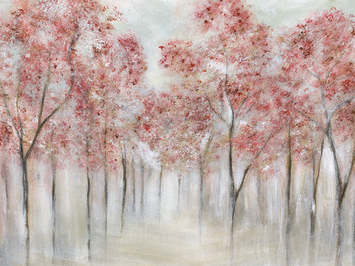 Blushing Spring