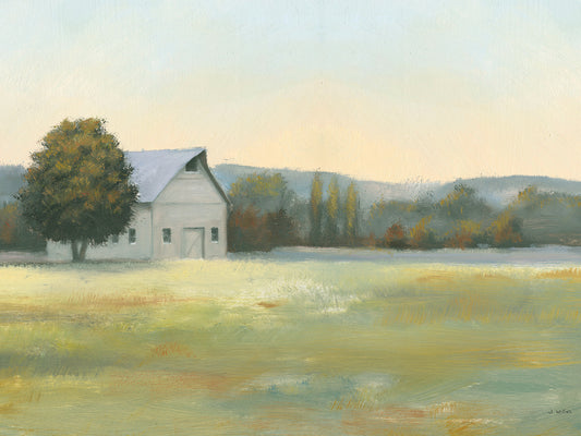 Morning Meadows II Canvas Print