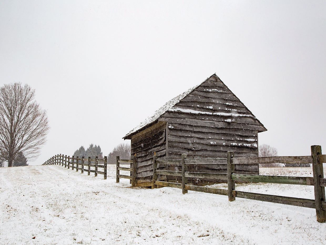 Coming to the Barn