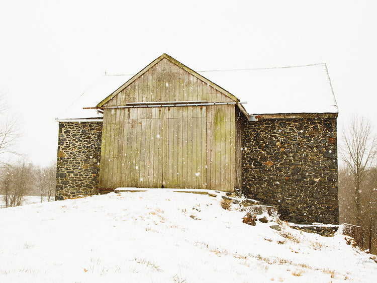 Majestic in the Snow