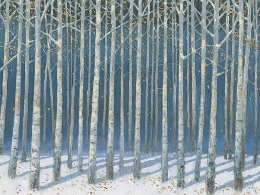 Shimmering Birches Canvas Print