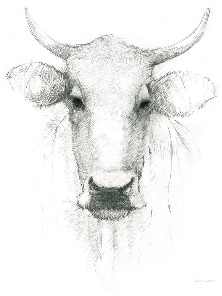 Cow Sketch