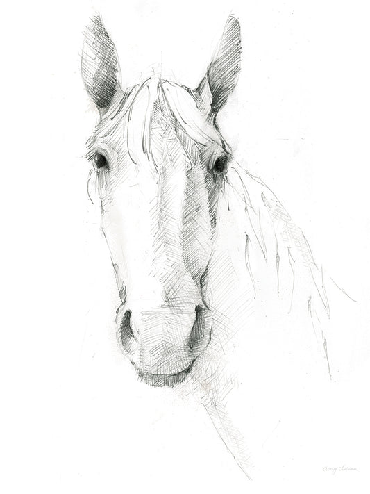 Horse Sketch Canvas Print