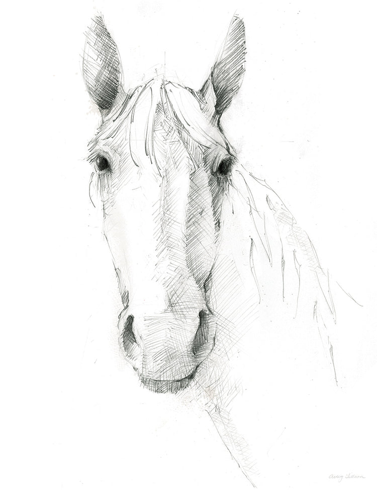 Horse Sketch