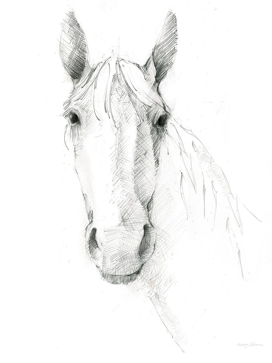 Horse Sketch