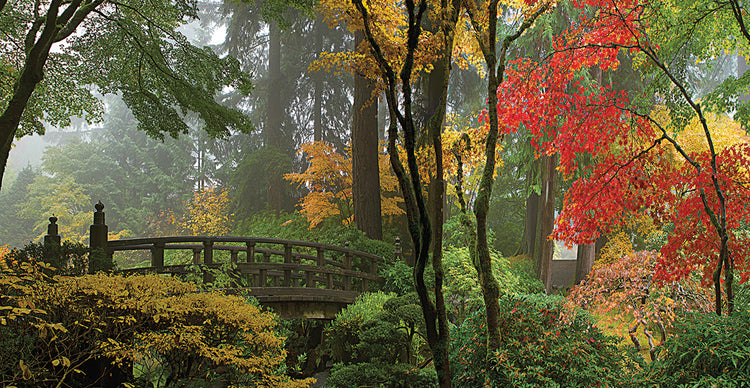 Puente del jardín japonés Lienzo
