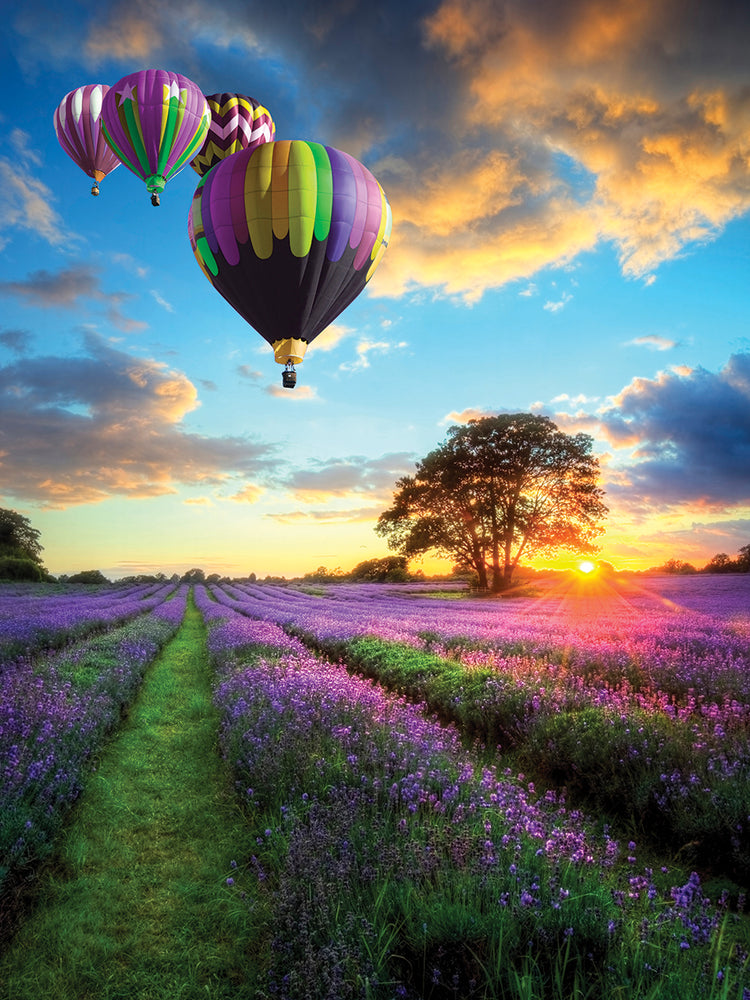 Volando sobre la lavanda Lienzo