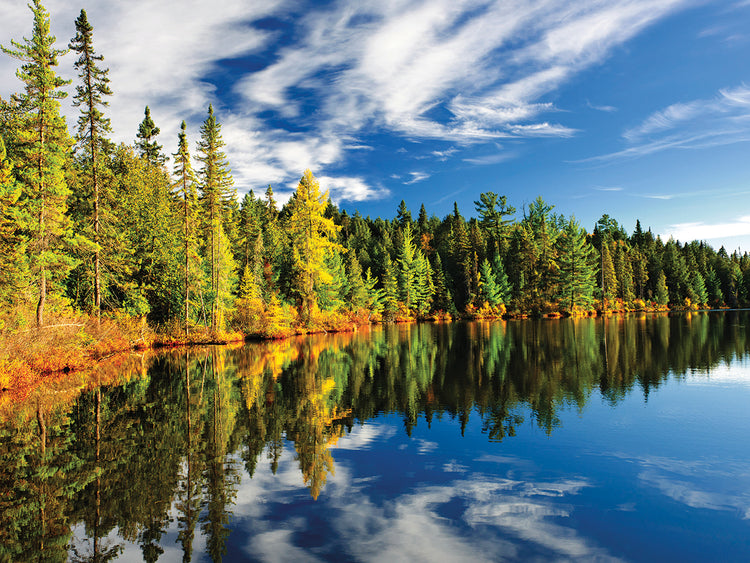 Lago tranquilo canadiense Lienzo