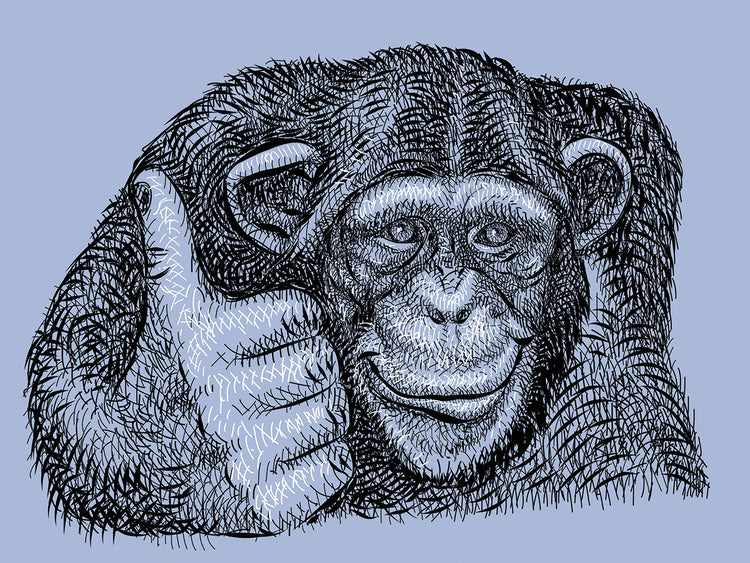 Pulgares arriba chimpancé Lienzo