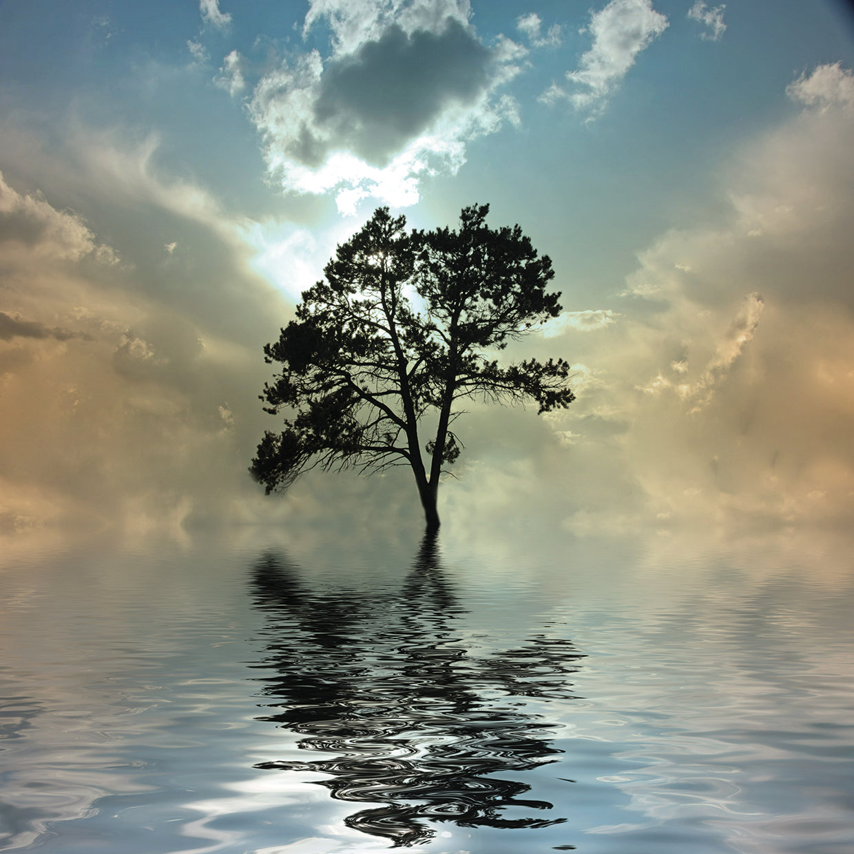 Cloudy Tree Ripples by DP Gallery is a peaceful and uplifting contemporary landscape photo printed on canvas or framed canvas