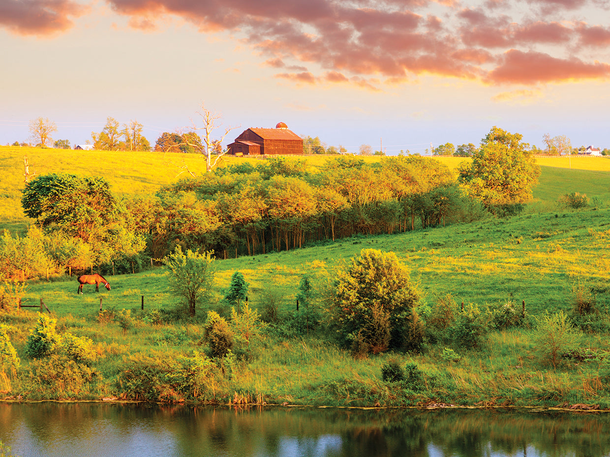Granja Kentucky Bluegrass Lienzo