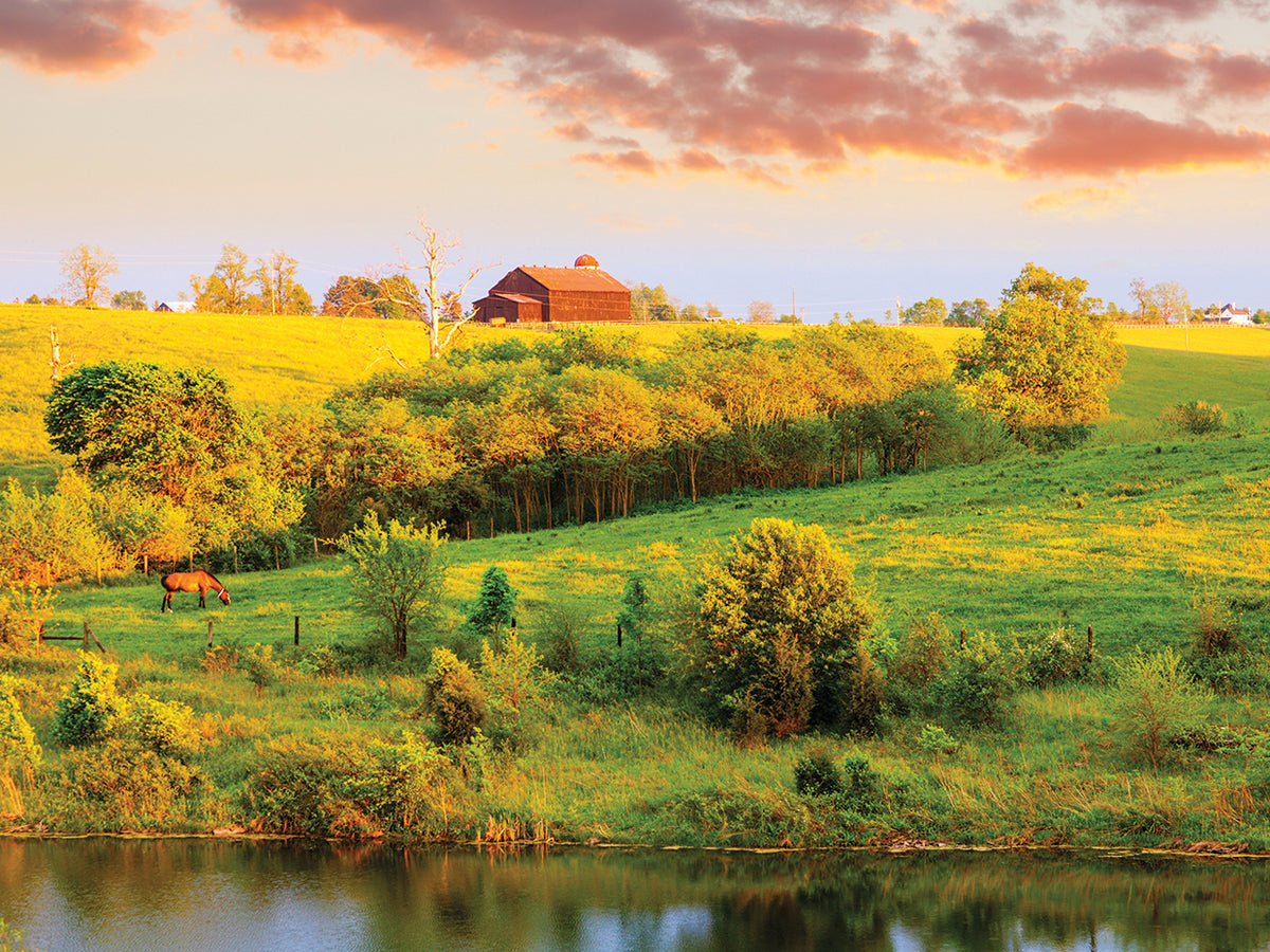 Kentucky Bluegrass Farm