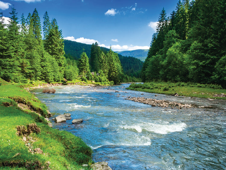 Riverbend Evergreens