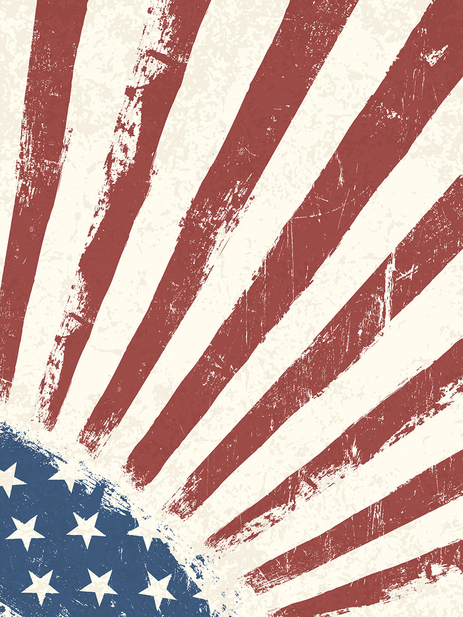 Vintage American Flag Rays