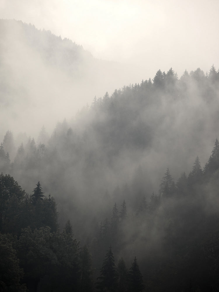Montañas de niebla que caen Lienzo