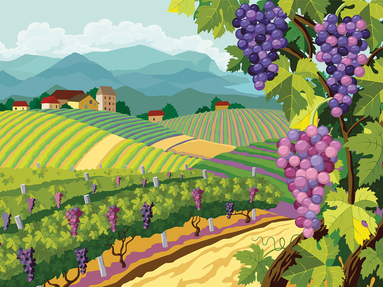 Viñedo de uvas jugosas Lienzo