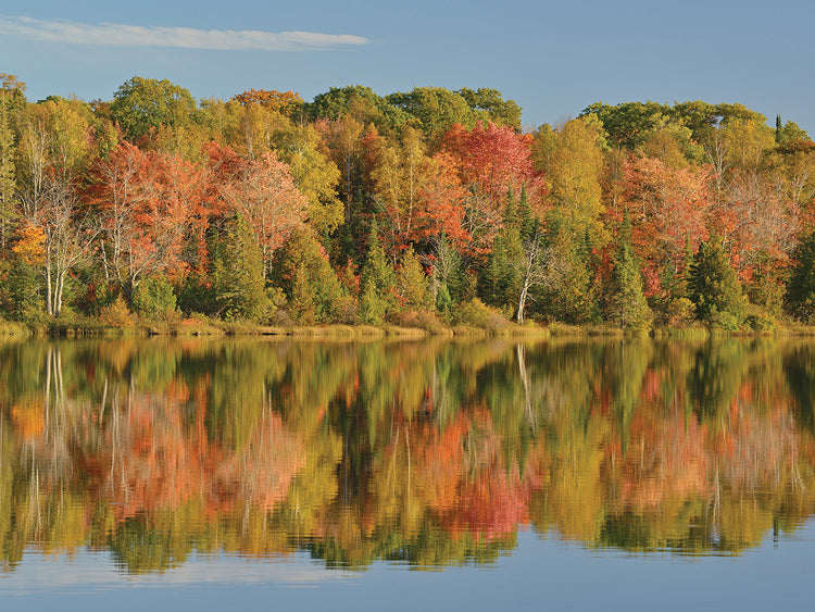 Pure Michigan Colors