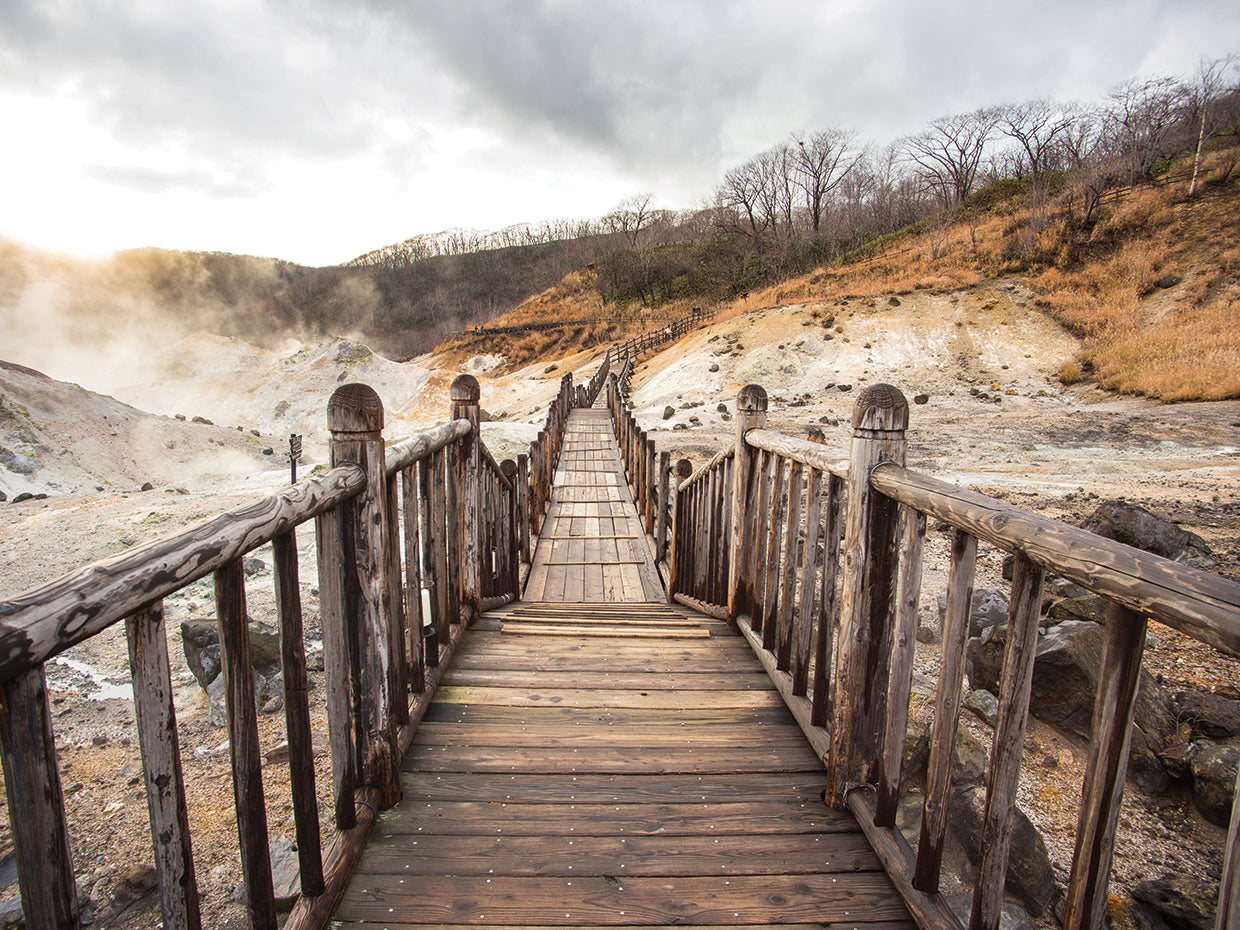 Aguas termales japonesas Lienzo